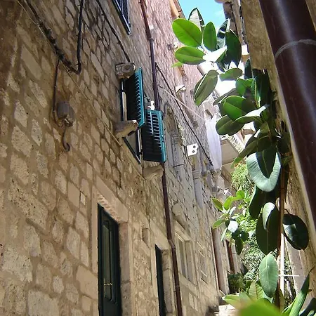 Flora דוברובניק